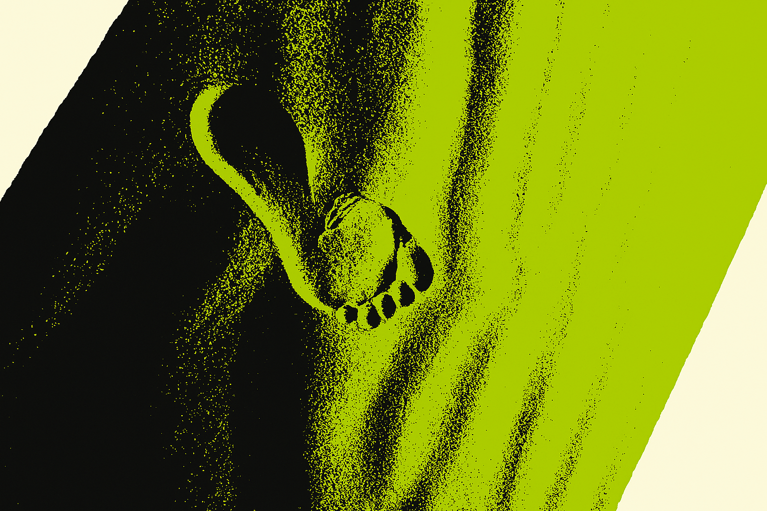 Digital footprint