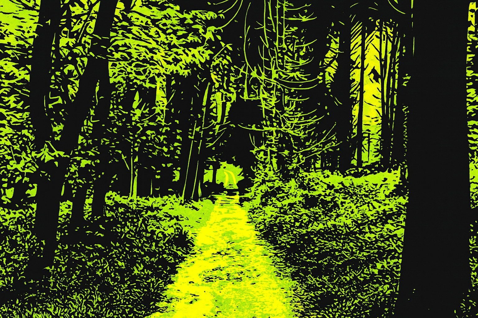 Digital trail